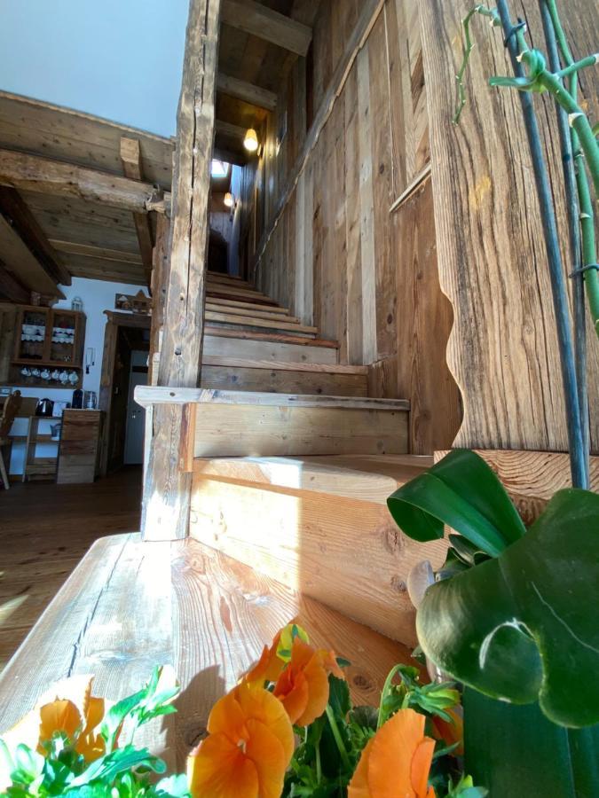 Calore Di Una Casa Di Montagna Campitello di Fassa Ngoại thất bức ảnh